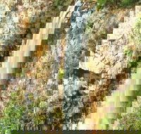 Private Tour - Rainforest  Waterfalls Extravaganza - Accommodation Main Beach