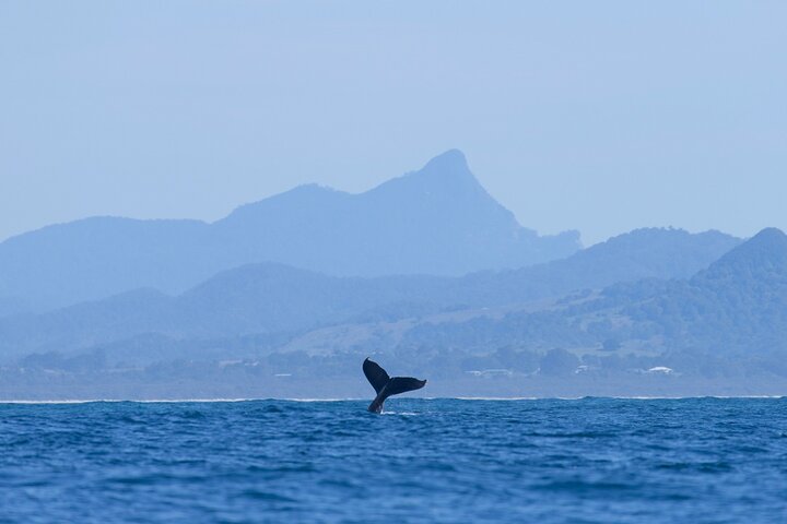  Accommodation Main Beach