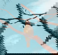 Highlights Of Kings Park - Accommodation Main Beach