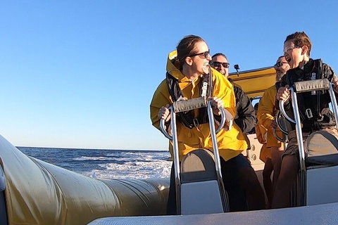 Noosa Oceanrider - Adventure Tour - Accommodation Main Beach 0