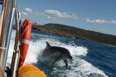 Noosa Oceanrider - Adventure Tour - Accommodation Main Beach 1