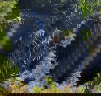 Byron Bay Hinterland Tour Including Rainforest Walk to Minyon Falls - Accommodation Main Beach