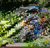 Adelaide 90-Minute Pedicab Tour Scenic Green  River Experience - Accommodation Main Beach