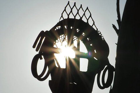 Wave Rock, Wild Flowers And Astro Photography - Accommodation Main Beach 4