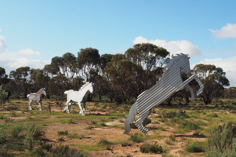 Wave Rock, Wild Flowers And Astro Photography - Accommodation Main Beach 5
