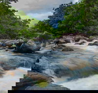 Cape Tribulation Day Tour