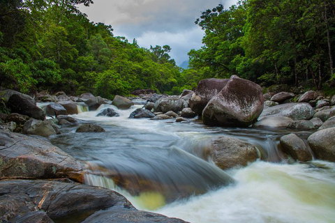 Cape Tribulation Day Tour - Accommodation Main Beach 0