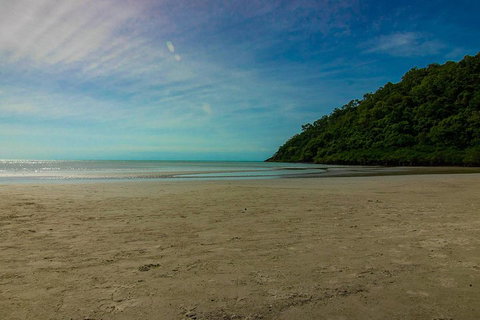 Cape Tribulation Day Tour - Accommodation Main Beach 2