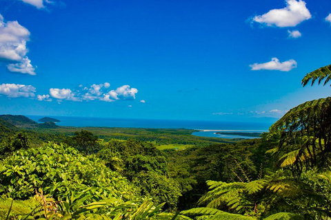 Cape Tribulation Day Tour - Accommodation Main Beach 3