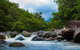 Cape Tribulation Day Tour - thumb 4