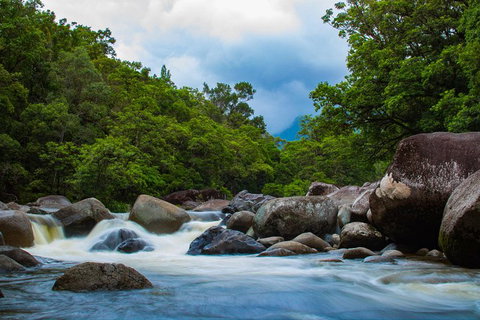 Cape Tribulation Day Tour - Accommodation Main Beach 4