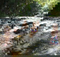 Daintree Rainforest Cape Tribulation Mossman Gorge Small-Group Day Tour - Accommodation Main Beach