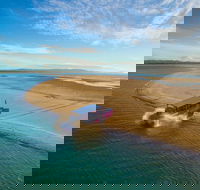 Town of 1770 Afternoon Cruise - Accommodation Main Beach