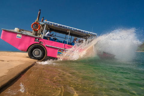 Town Of 1770 Afternoon Cruise - Accommodation Main Beach 2