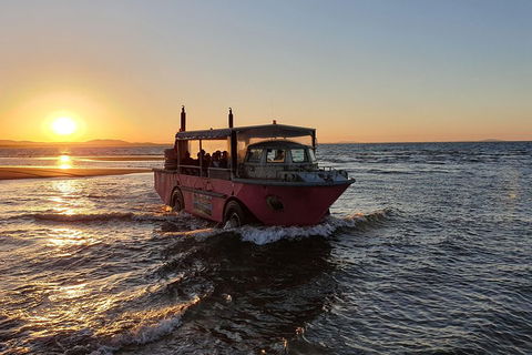 Town Of 1770 Afternoon Cruise - Accommodation Main Beach 3