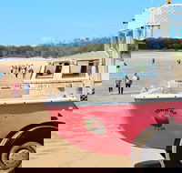 1770 Coastline Tour by LARC Amphibious Vehicle Including Picnic Lunch - Accommodation Main Beach