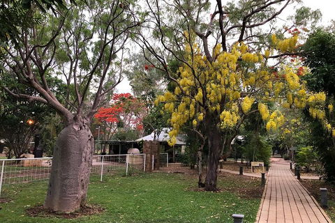 Wet Season Mitchell Falls Tour - Mitchell Falls, Horizontal Falls & Cygnet Bay - Accommodation Main Beach 1