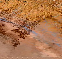 Scenic Flight Lizard Safari - Accommodation Main Beach