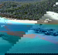 All Inclusive Tangalooma Wrecks Cruise Tour From Gold Coast - Accommodation Main Beach