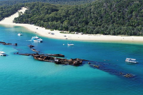 All Inclusive Tangalooma Wrecks Cruise Tour From Gold Coast - Accommodation Main Beach 0
