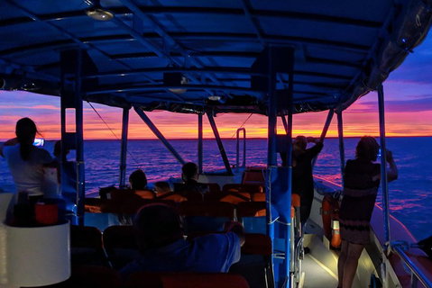 Darwin Sunset Cruise Including Fish 'n' Chips - Accommodation Main Beach 1