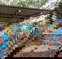 Bombing of Darwin World War II Tour with Harbour Cruise - Accommodation Main Beach