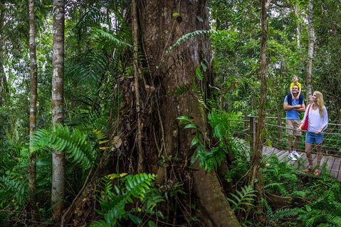 Kuranda Day Tour + HotAir Balloon Combo - Accommodation Main Beach 3