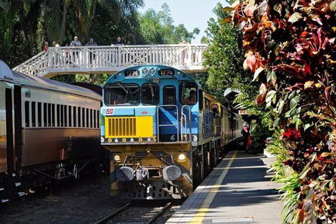 Kuranda Day Tour + HotAir Balloon Combo - Accommodation Main Beach 4