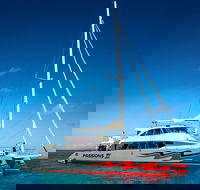 Passions of Paradise Great Barrier Reef Snorkel and Dive Cruise from Cairns by Luxury Catamaran