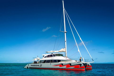 Passions Of Paradise Great Barrier Reef Snorkel And Dive Cruise From Cairns By Luxury Catamaran - Accommodation Main Beach 0