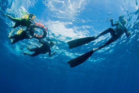 Passions Of Paradise Great Barrier Reef Snorkel And Dive Cruise From Cairns By Luxury Catamaran - Accommodation Main Beach 2
