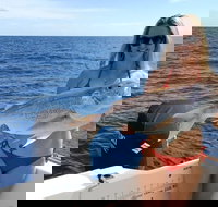 1/2 Day 5 Hour Offshore Fishing Charter - Accommodation Main Beach