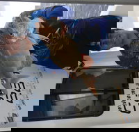 3/4 Day 7 Hour Offshore Fishing Charter - Accommodation Main Beach