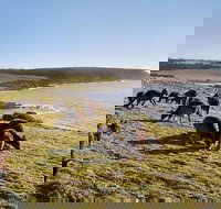 Kangaroo Island Personal Group Tours - Accommodation Main Beach