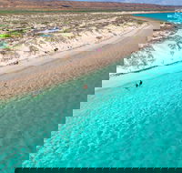 Ningaloo in a Day - Full Day Hike and Snorkel Tour with Lunch - Accommodation Main Beach