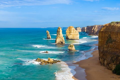 LGBT+ Friendly 3 Day Private Tour Great Ocean Road & Phillip Island - Accommodation Main Beach 4