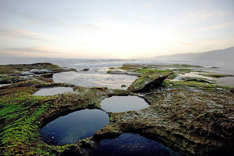 LGBT+ Friendly 3 Day Private Tour Great Ocean Road & Phillip Island - Accommodation Main Beach 5