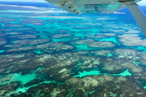 Shipwreck Special Full Day Tour Of The Abrolhos Islands - Accommodation Main Beach 1