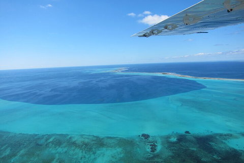 Shipwreck Special Full Day Tour Of The Abrolhos Islands - Accommodation Main Beach 2
