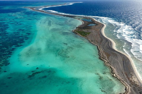Shipwreck Special Full Day Tour Of The Abrolhos Islands - Accommodation Main Beach 3