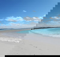 Shipwreck Special Nature Tour/Half Day Tour - Accommodation Main Beach