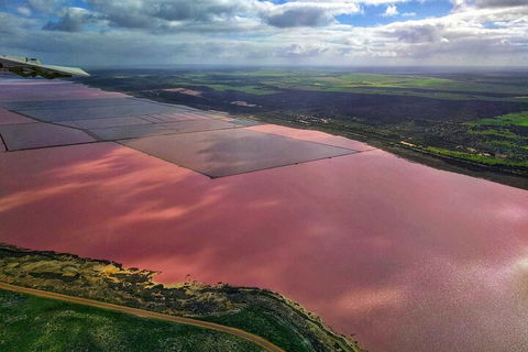 Kalbarri, Pink Lake And Abrolhos Islands Nature Tour - Accommodation Main Beach 1