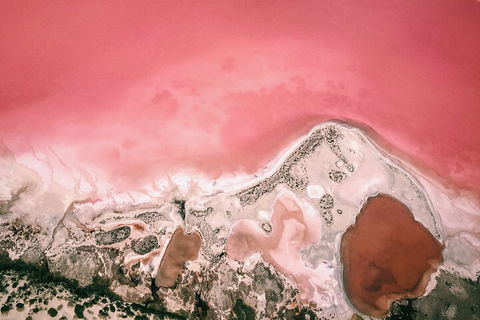 Kalbarri, Pink Lake And Abrolhos Islands Nature Tour - Accommodation Main Beach 2