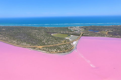 Pink Lake + Abrolhos Islands Nature Tour - Accommodation Main Beach 4