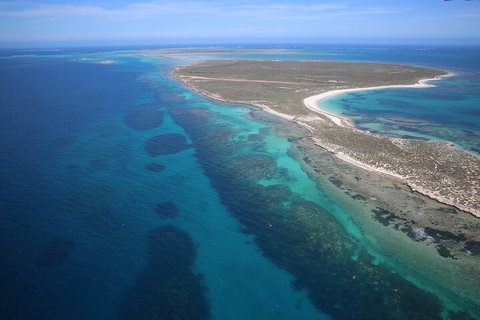 Pink Lake + Abrolhos Islands Scenic Flight - Accommodation Main Beach 0