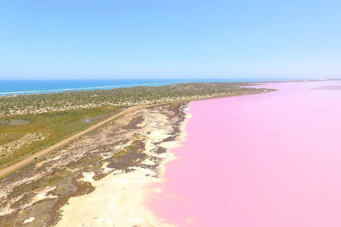 Pink Lake + Abrolhos Islands Scenic Flight - Accommodation Main Beach 4