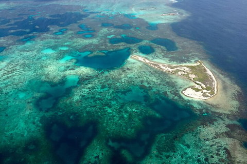Pink Lake + Abrolhos Islands Scenic Flight - Accommodation Main Beach 5