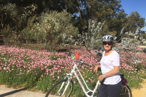 Perth Bike Tour - Beautiful Matilda Bay And Kings Park - Accommodation Main Beach 1