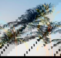 Darwin City Sightseeing Tour - Accommodation Main Beach