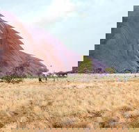 Uluru Sunrise and Guided Base Walk - Accommodation Main Beach